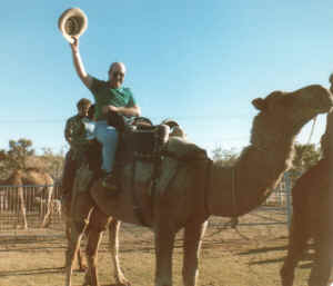Camel3.jpg (69334 bytes)
