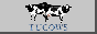 RainForest_2352_tucows.gif