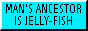 RainForest_6313_jelly.gif