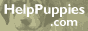 RainForest_Canopy_8208_puppies.gif