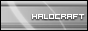 TimesSquare_Bridge_4487_links_halocraft.gif