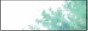 Tokyo_Blossom_2545_button_green.gif