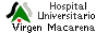 maorera_logos_hospital_Rh105b20.gif