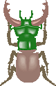 beetle1.gif