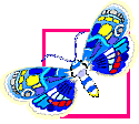 bfly007.gif