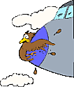 birdonplane.gif