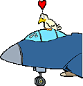 birdonplane2.gif