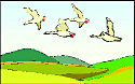 birds1.gif