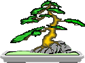 bonsai1.gif