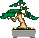 bonsai3.gif