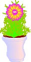 cactus1.gif
