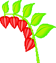 flower5.gif