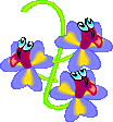 flower6.gif