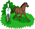 horserun.gif