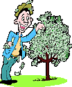 moneytree.gif