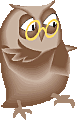 owl.gif