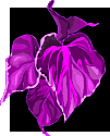 purpleleaves.gif