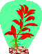 redplant.gif