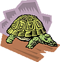 turtle.gif